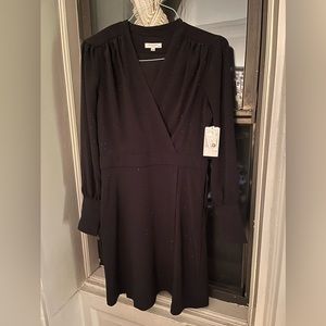 Never Worn Equipment Dress